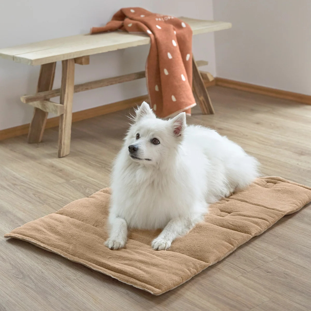 Hund auf Hundematte ALMA Humus - PALOPA