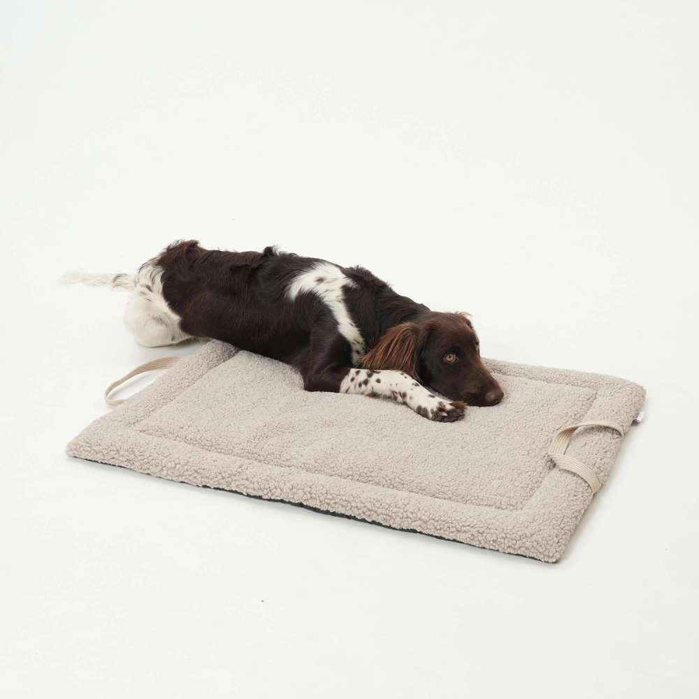 Hund auf Reisematte Travel Mat Matti gravel - Dogs in the City