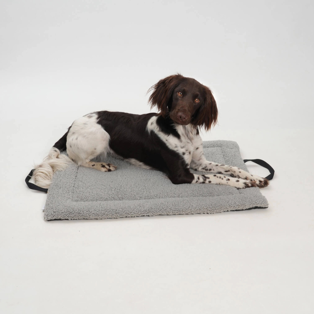 Hund auf Reisematte Travel Mat Matti mouse - Dogs in the City