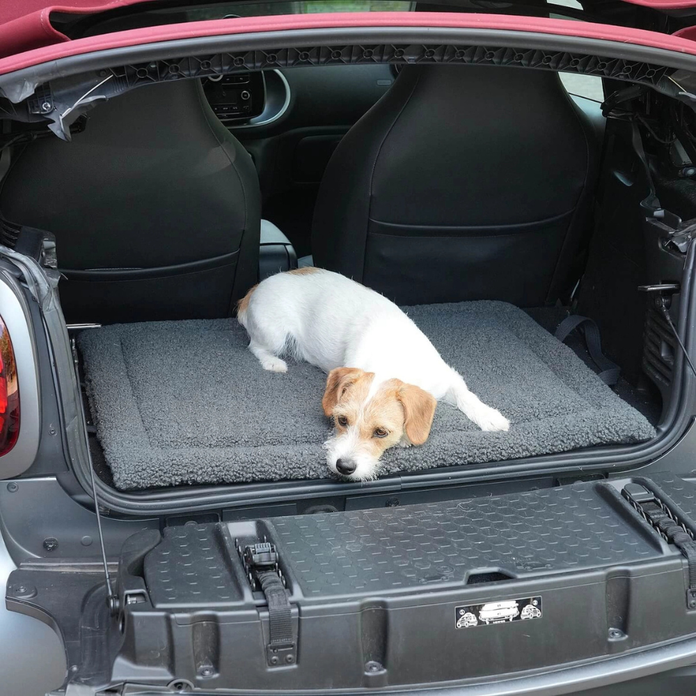Hund im Auto auf Reisematte Travel Mat Matti graphit - Dogs in the City