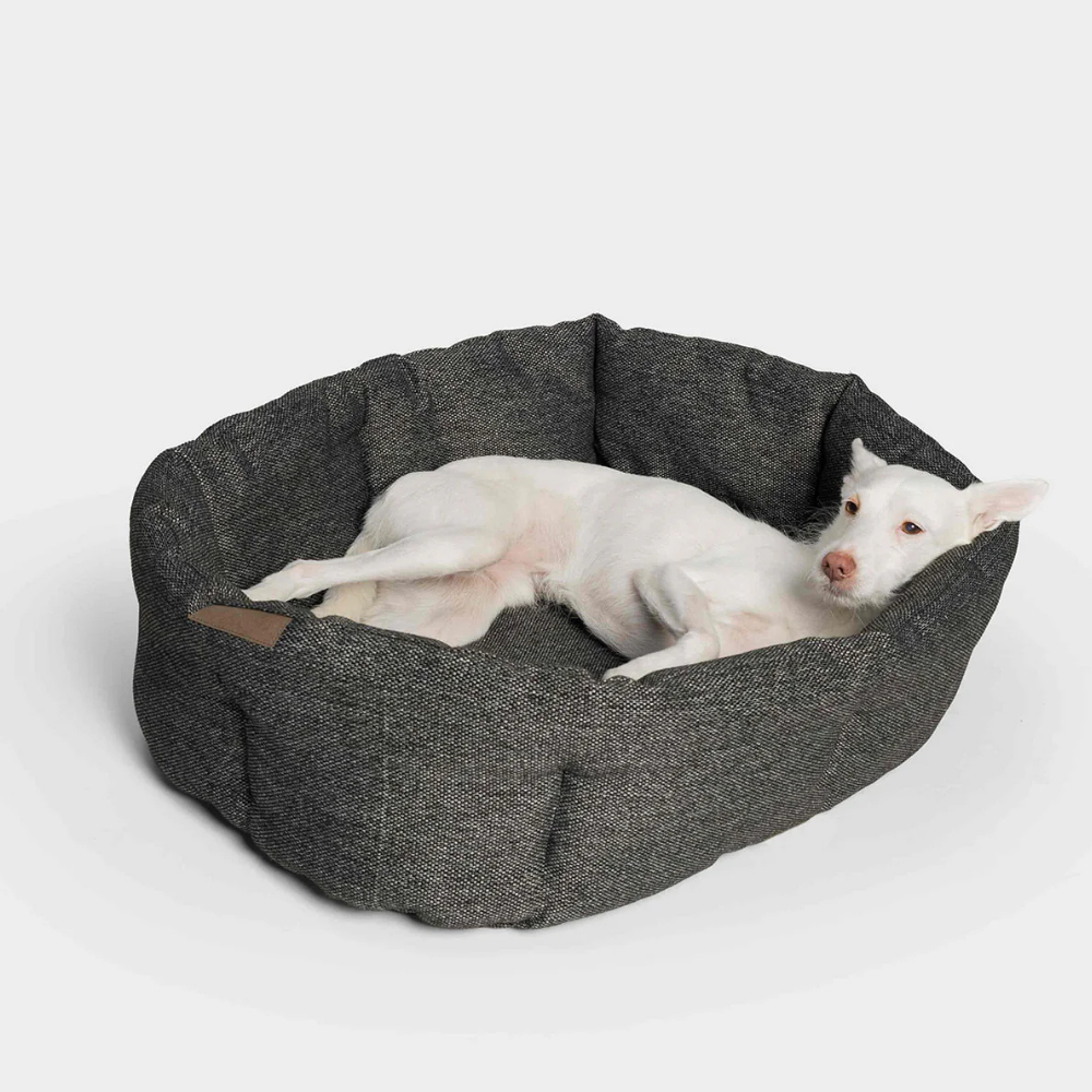 Hund in Cloud7 Hundebett LAZY Mélange Anthra Hundekissen