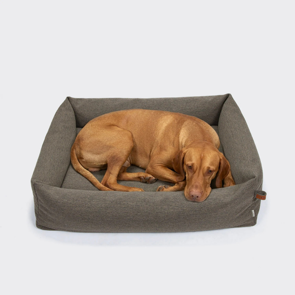 Hund in Cloud7 Hundebett Sleepy Linen-Mix Taupe Mélange