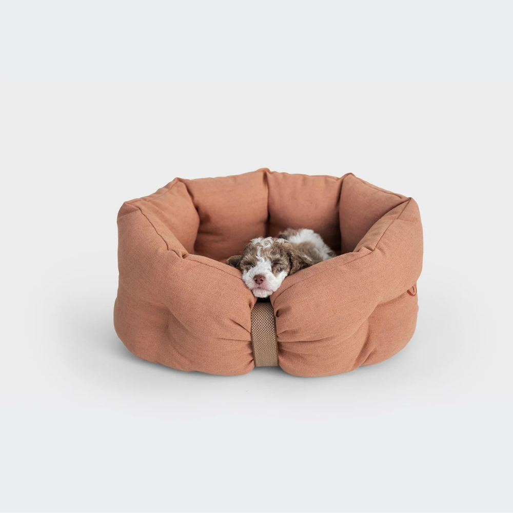 Hund in Cloud7 LTTL Hundebett Snoozy Linen-Mix Dusty Rose