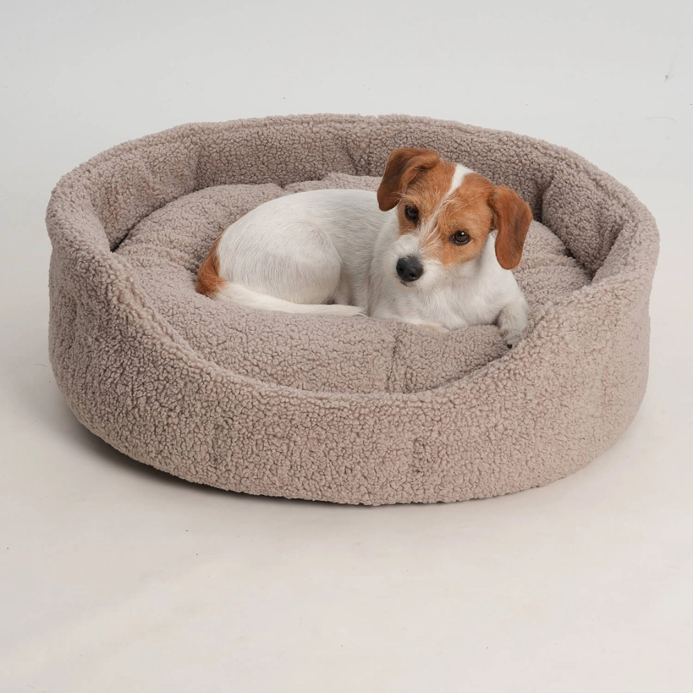 Hund in Hundebett PADDY Gravel - Dog in the City