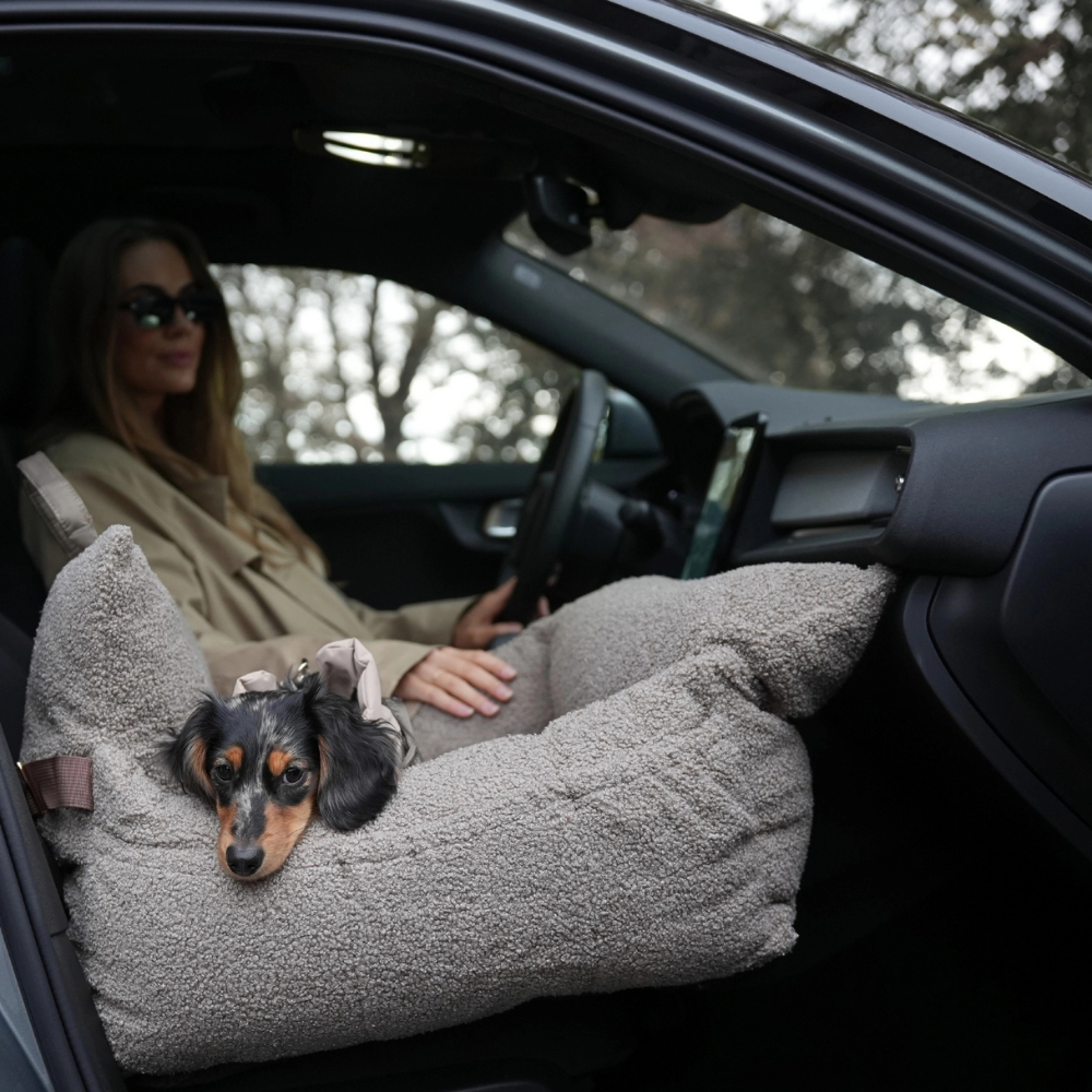 Hund in Lara 3‑in‑1‑Autositz Teddy 2.0 tragbare Tasche - staey