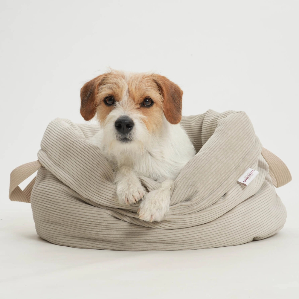 Hund liegend in Hundebett Körbchen CHELSEA Cord Gravel - Dogs in the City