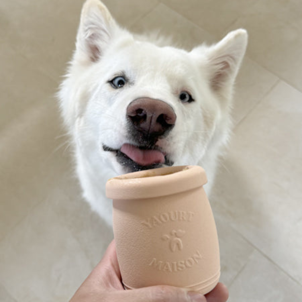 hund mit Beschäftigungsspielzeug - Yoomy Pot Sand - Inooko
