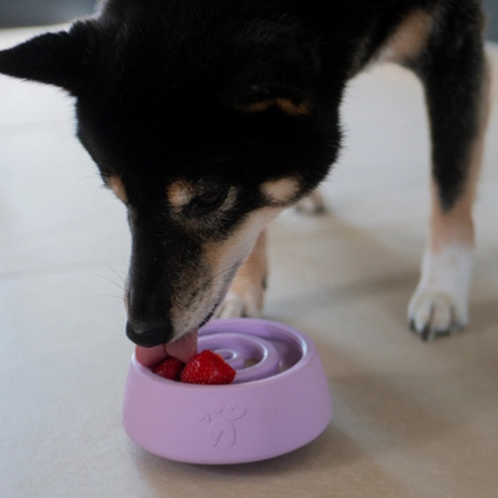 Hund mit Beschäftigungsspielzeug - Yoomy Wobble Lavendel - INOOKO