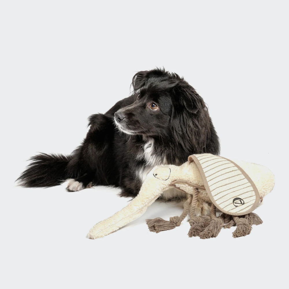 Hund mit Cloud7 Hundespielzeug Mosquito Momo Größe L