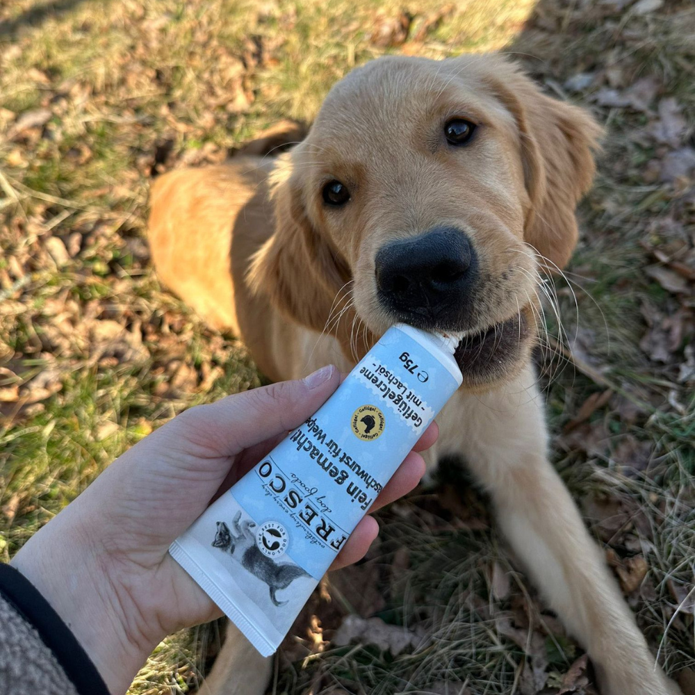Hund mit Futtertube Naschwurst Geflügelcreme mit Lachsöl für Welpen - FRESCO