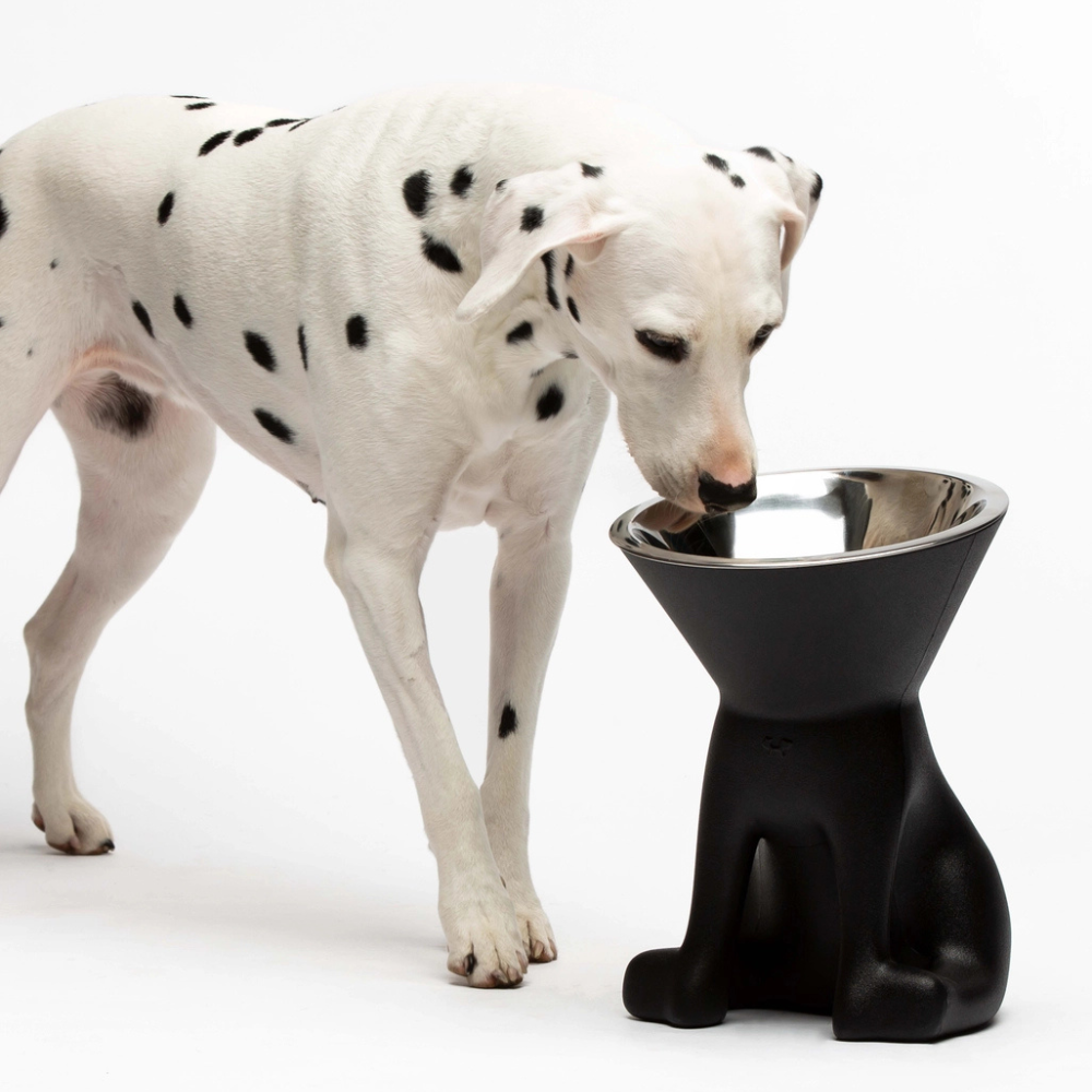 Hund mit Designernapf ELIZABETH Black/Schwarz - United Pets