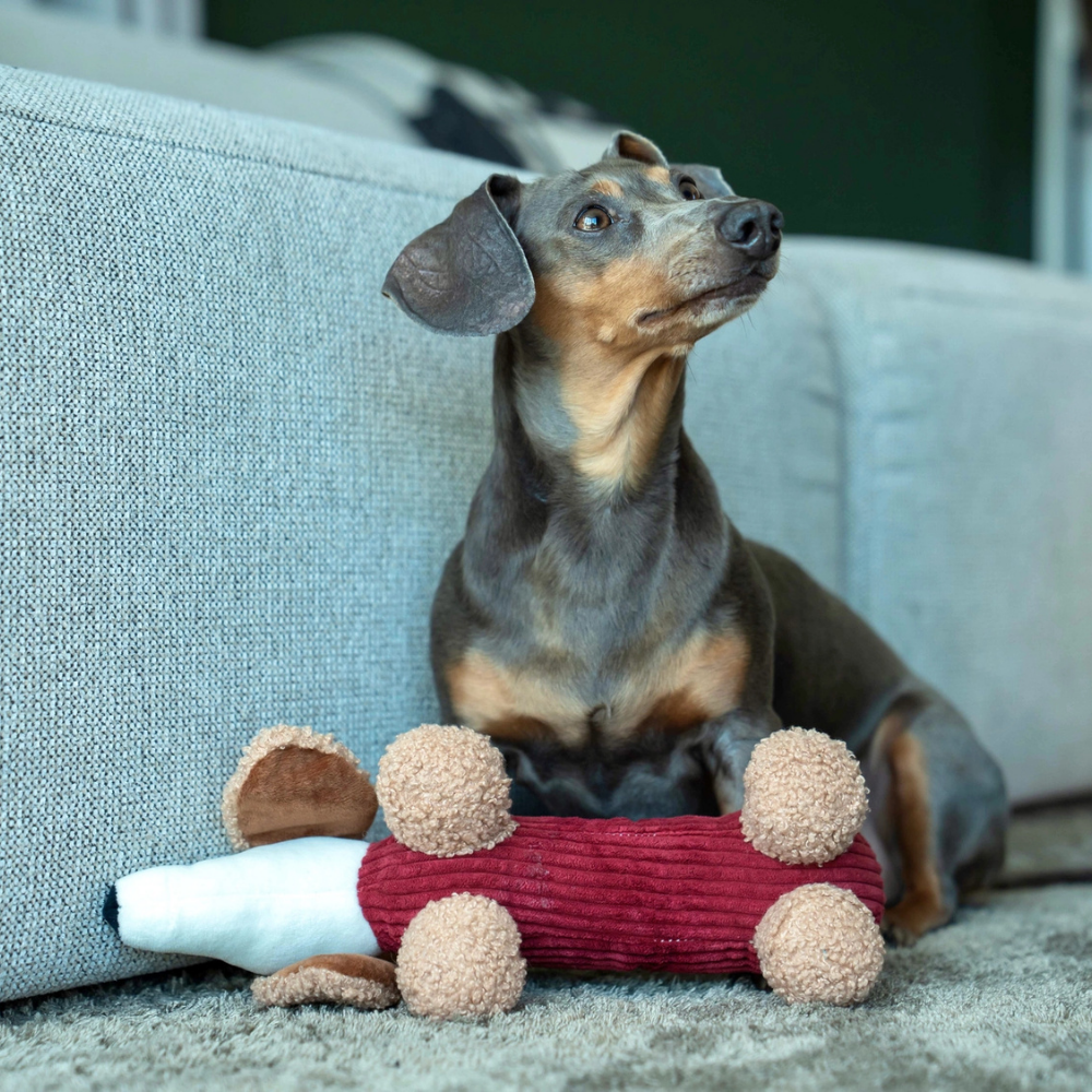 Hund mit Hundespielzeug Dackel Micky "Merlot" - Micky's Favorites