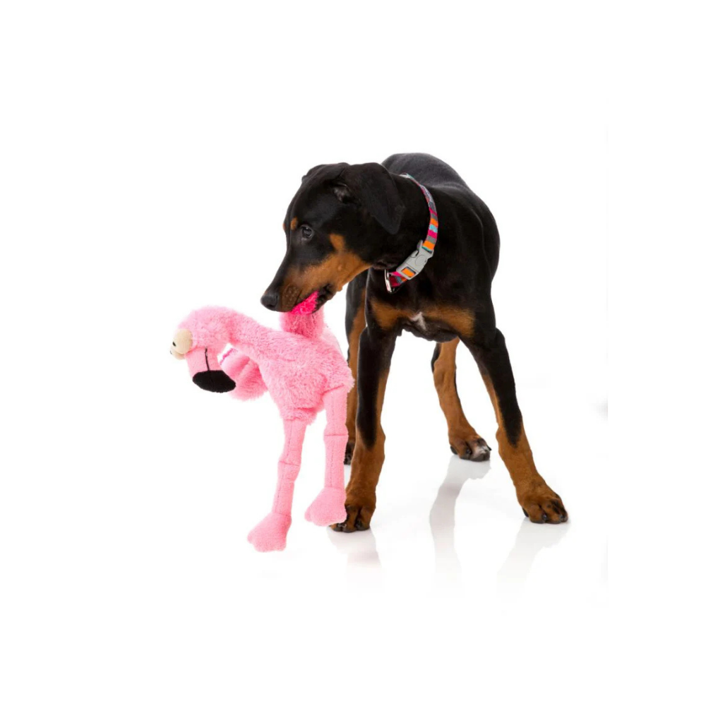Hund mit Hundespielzeug Flo der Flamingo - FuzzYard