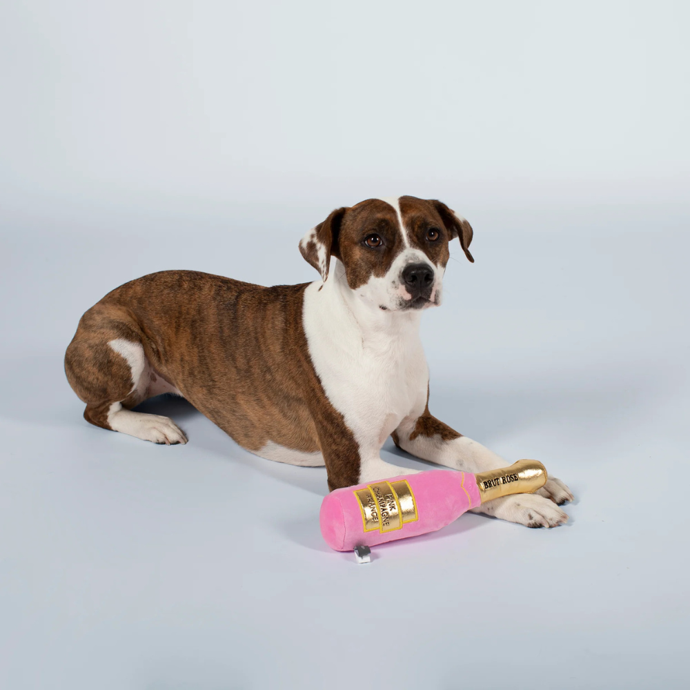 Hund mit Hundespielzeug Mutt Rosé Champagne - Petshop by Fringe Studio