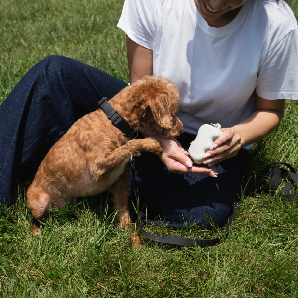 Hund mit Leckerlispender aus Silikon Nude - springland