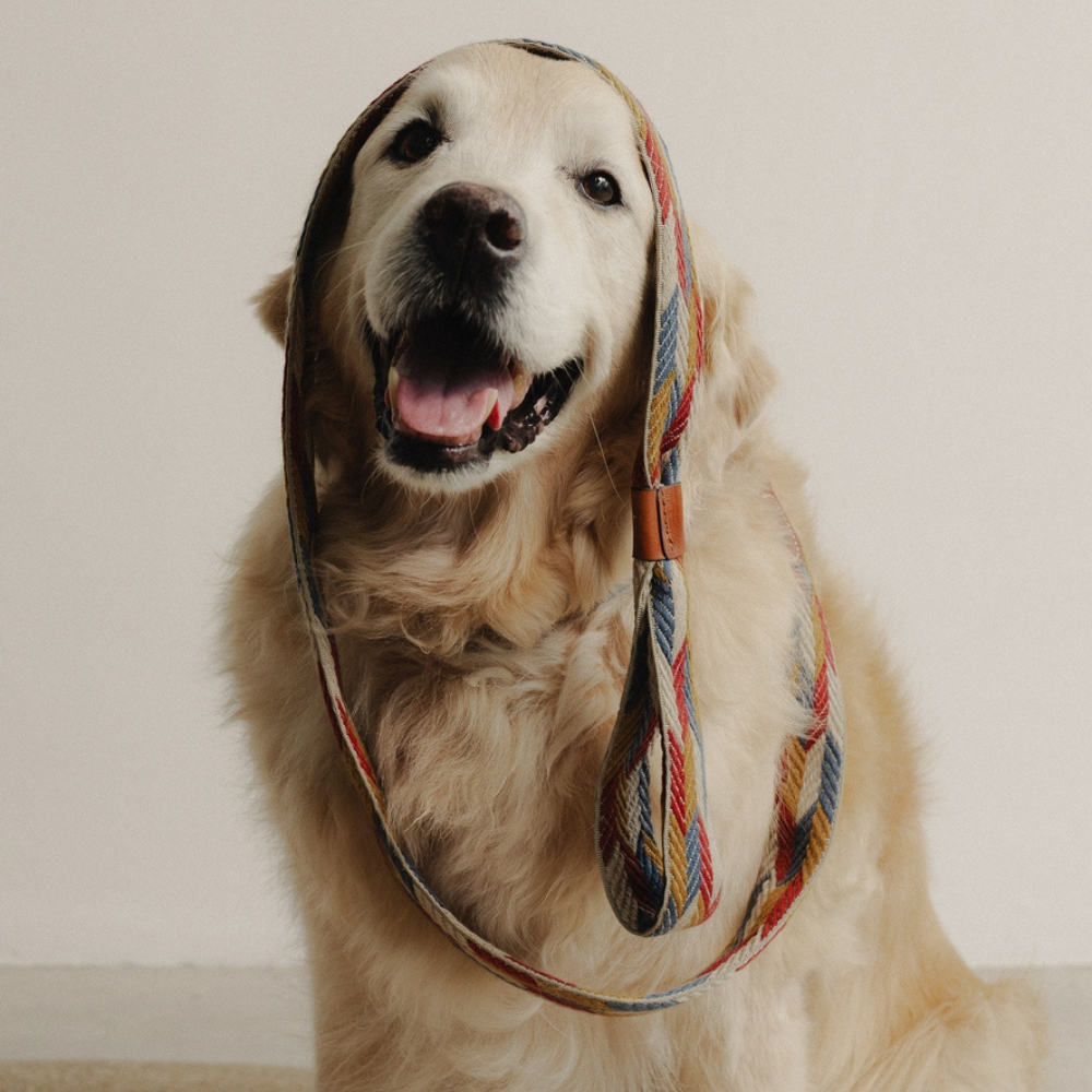 Hund mit Leine Naya Puzzle - Buddys Dogwear