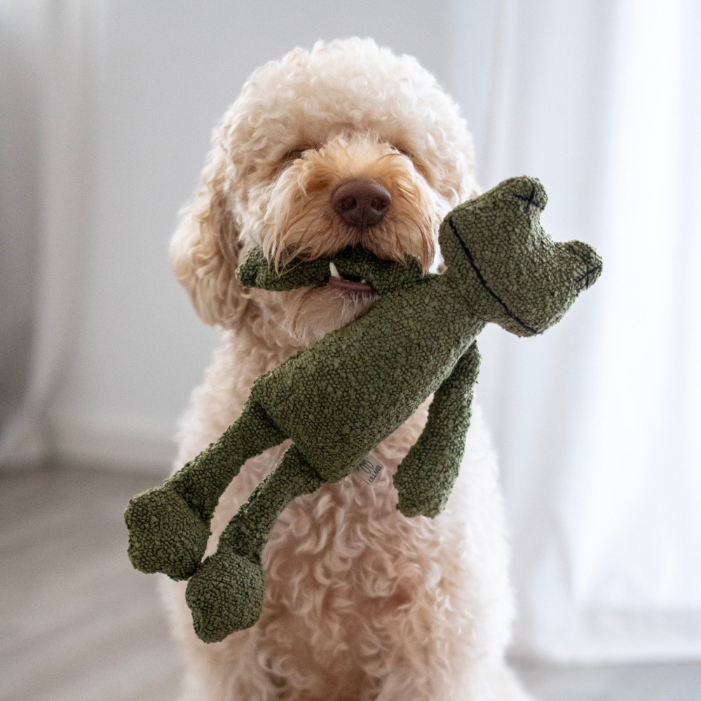 Hund mit Moodbild Hundespielzeug GRETA The Frog im Maul - Lillabel