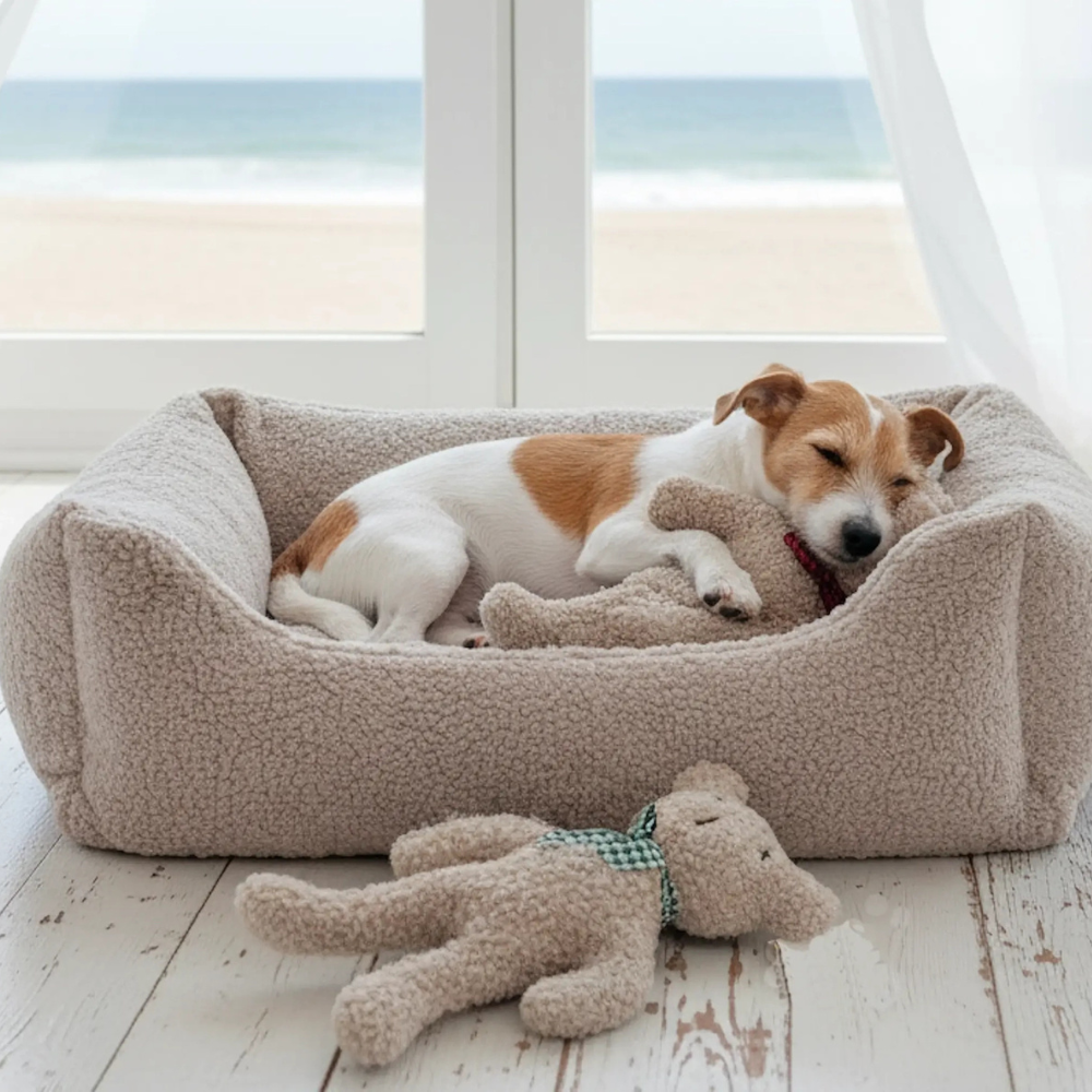 Hundespielzeug Paddy Teddy CHARLY Gravel