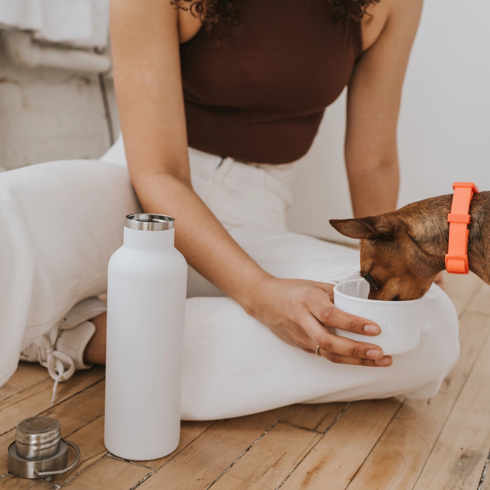 Hund mit Reisetrinkflasche isolierte Trinkflasche mit Napf aus Silikon DOG & ME - Springer Pets