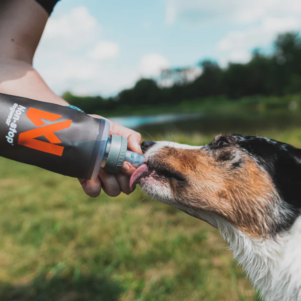 Hund mit Softflask Trinkflasche 500 ml - non-stop dogwear
