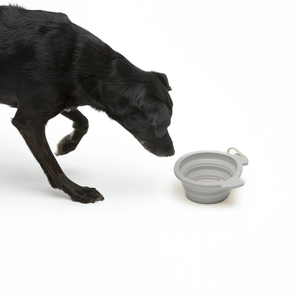 Hund mit faltbarer Reisenapf aus Silikon 500 ml Taupe - United Pets