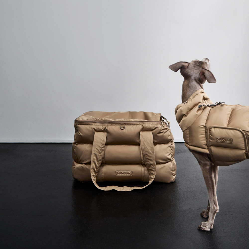 Hund neben Cloud7 Hundetasche MONTREAL Sandy Brown