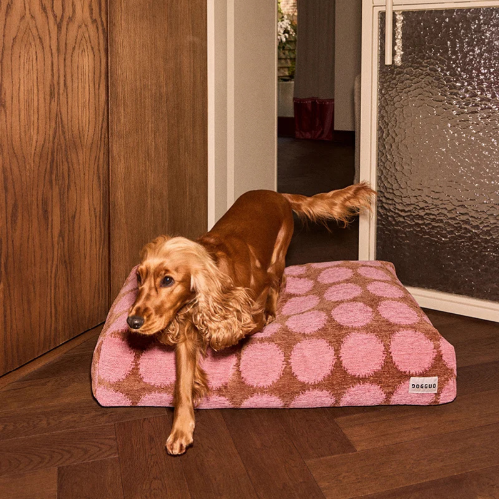 Hund auf Dot Hundekissen Mocha/Pink - DOGGUO