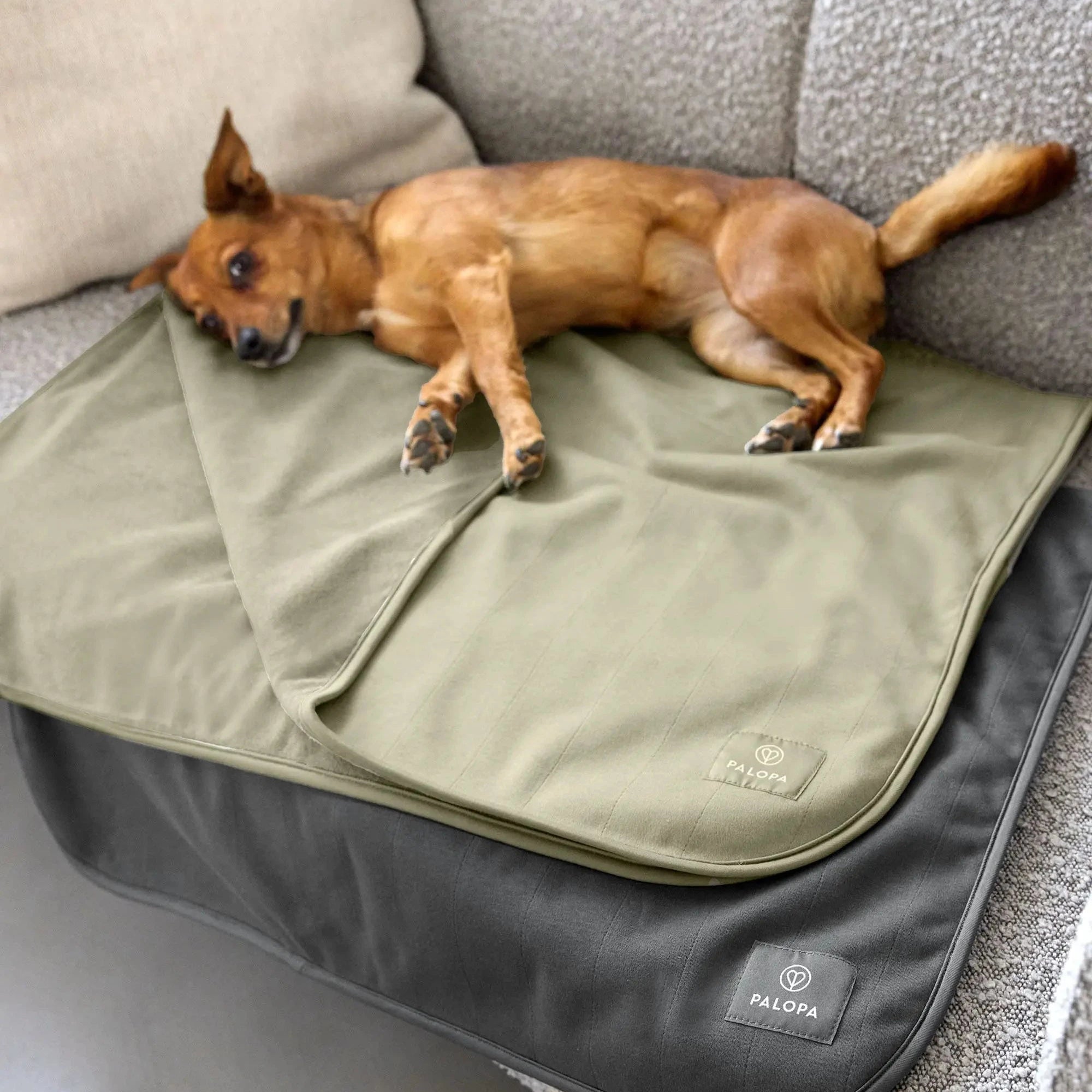 PALOPA Hunde Schutzmatte BENTI Sage Oliv