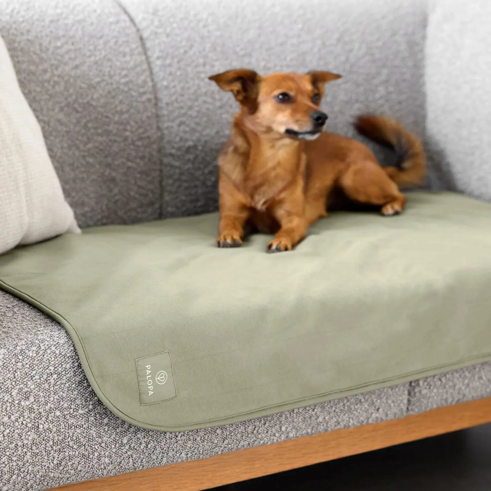 PALOPA Hunde Schutzmatte BENTI Sage Oliv