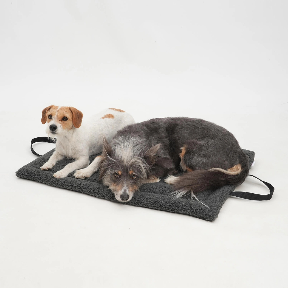 Hunde auf Reisematte Travel Mat Matti graphit - Dogs in the City