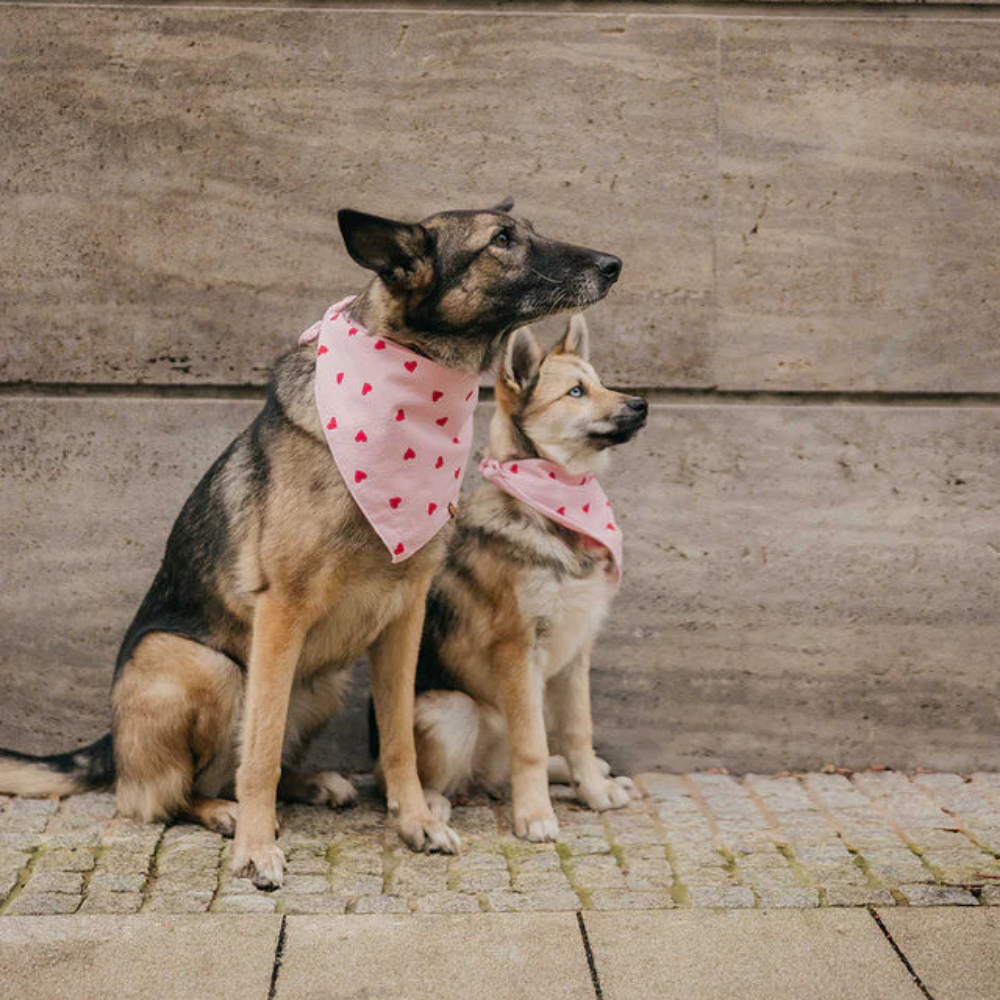 Hunde mit Lieblingspfote Halstuch "Always Lovely"