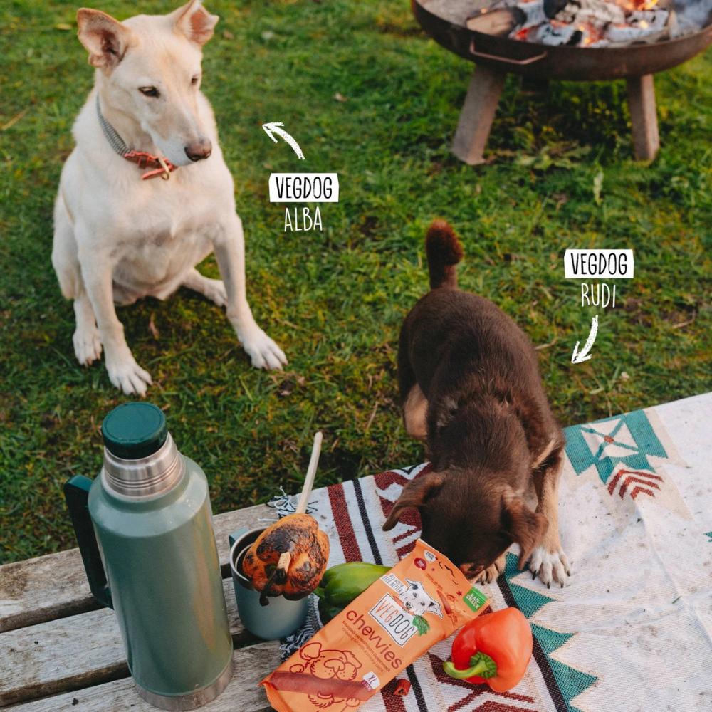 Hunde mit VEGDOG Kausnack CHEVVIES XL