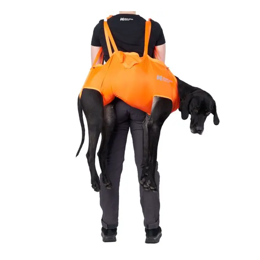 Hundeausrüstung Dog rescue sling orange - non-stop dogwear