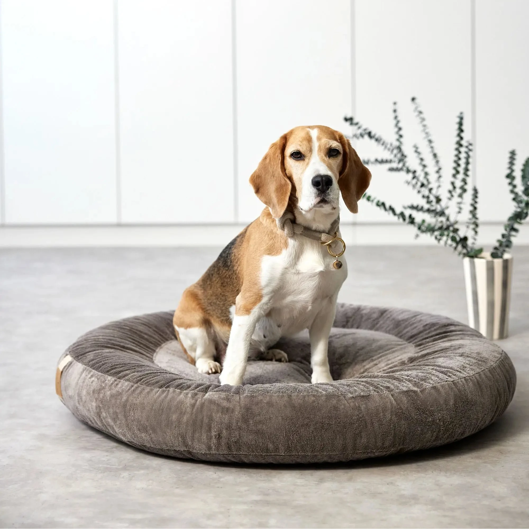 PALOPA Dog Bed Donut Fippa Taupe
