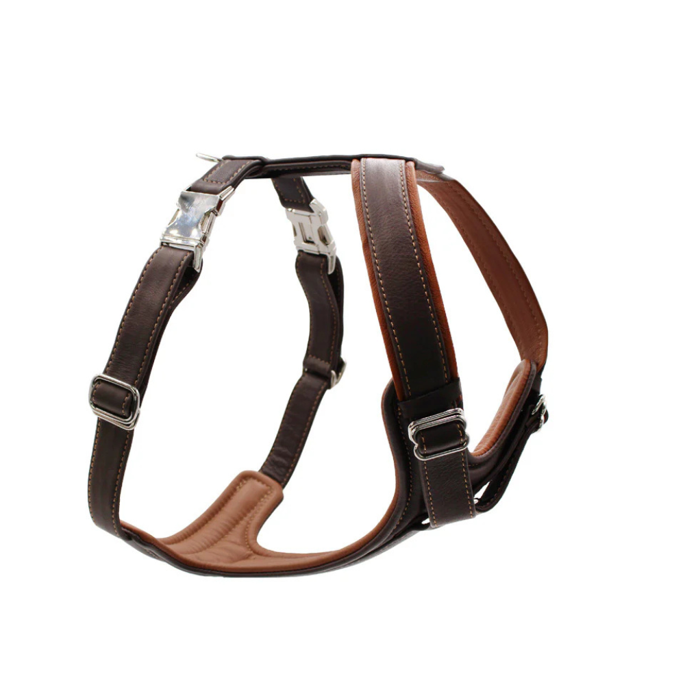 Hundegeschirr Leder 2-fach verstellbar Cognac - MAUL Ledermanufaktur
