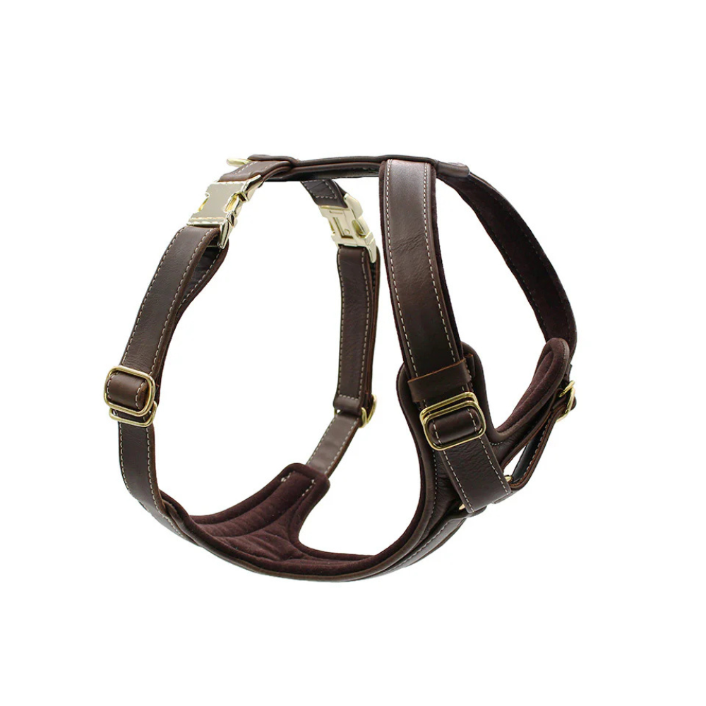 Hundegeschirr Leder 2-fach verstellbar Dark Brown - MAUL Ledermanufaktur