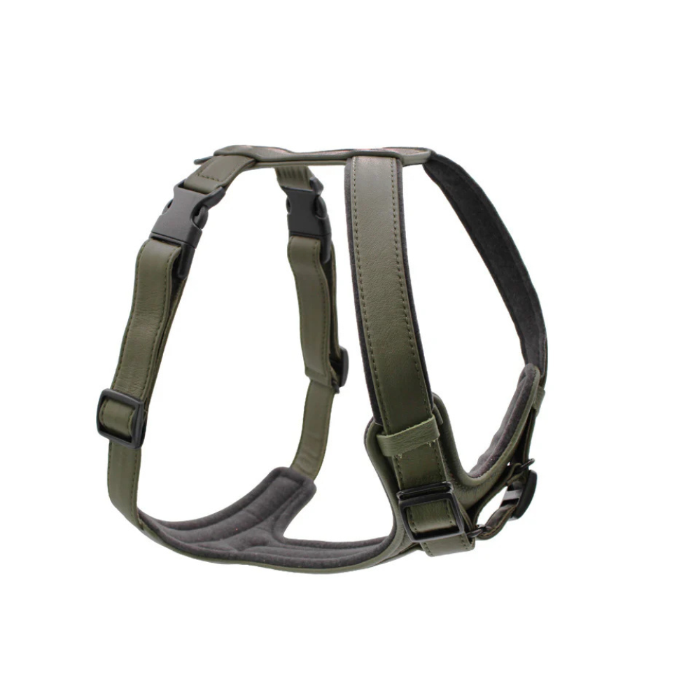 Hundegeschirr Leder 2-fach verstellbar Khaki - MAUL Ledermanufaktur