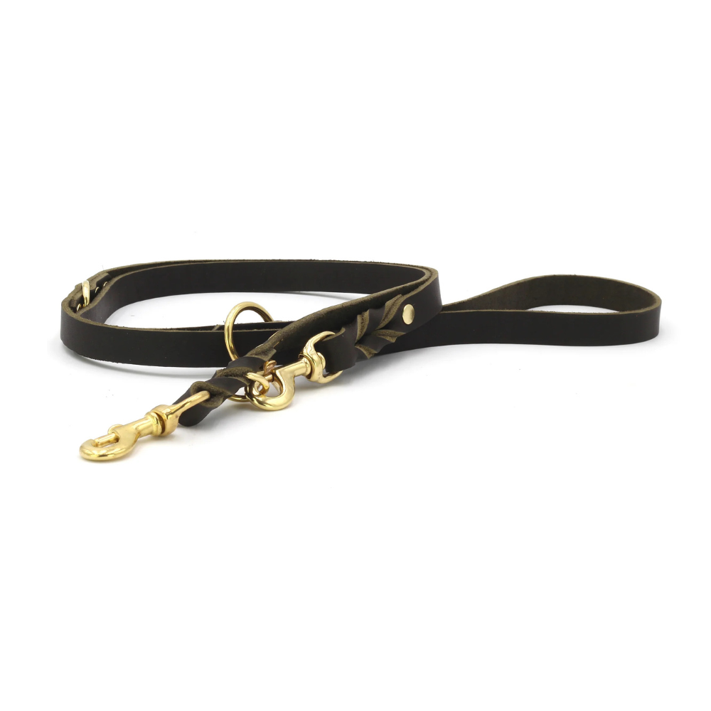 Hundeleine Leder Mono Pop Dark Khaki mit goldenen Beschlägen - MAUL Ledermanufaktur