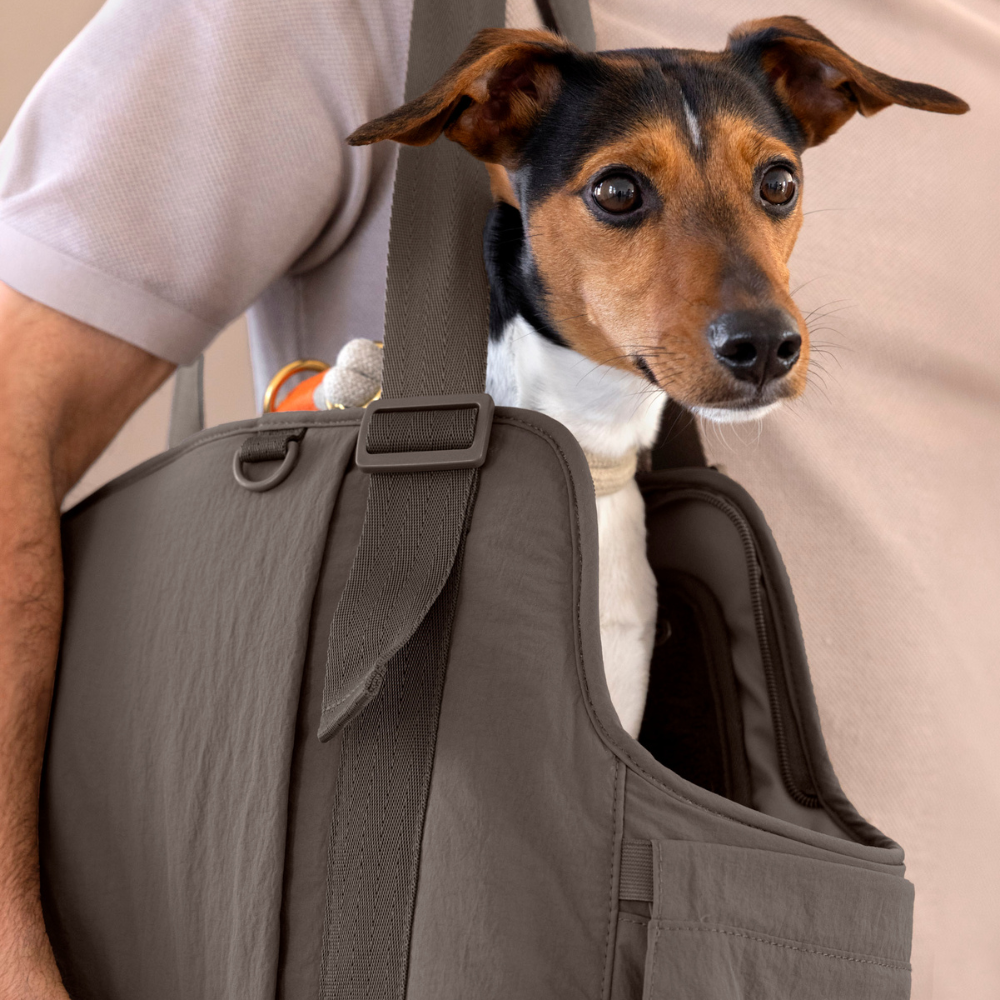 Tragebild Hund in Hundetragetasche WEDA Crinkled Chocolate - PALOPA