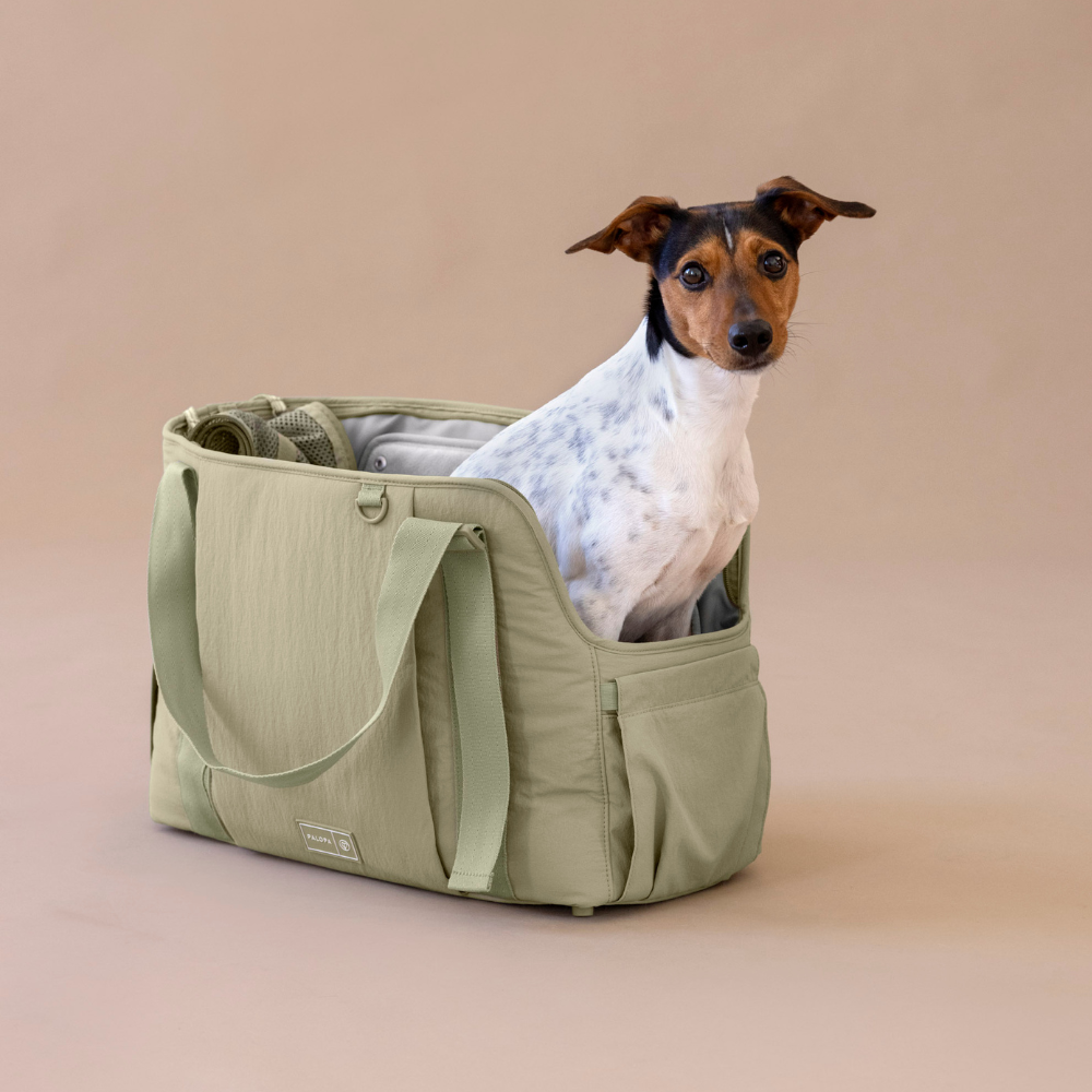 Hund in Hundetragetasche WEDA Crinkled Pale Olive - PALOPA