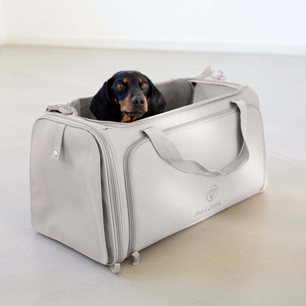 Hund in PALOPA Hundereisetasche Travel Carrier BENNO Taupe