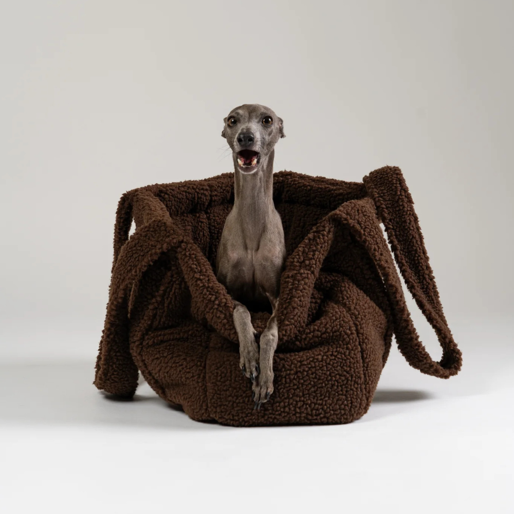 Hund in Teddy Shopper Braun - KARMA HUND