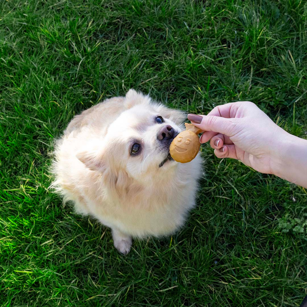 Hund mit Beispielinhalt Dental Kausnack Garden Bites Fruity Buddies Ananas - DUVO+