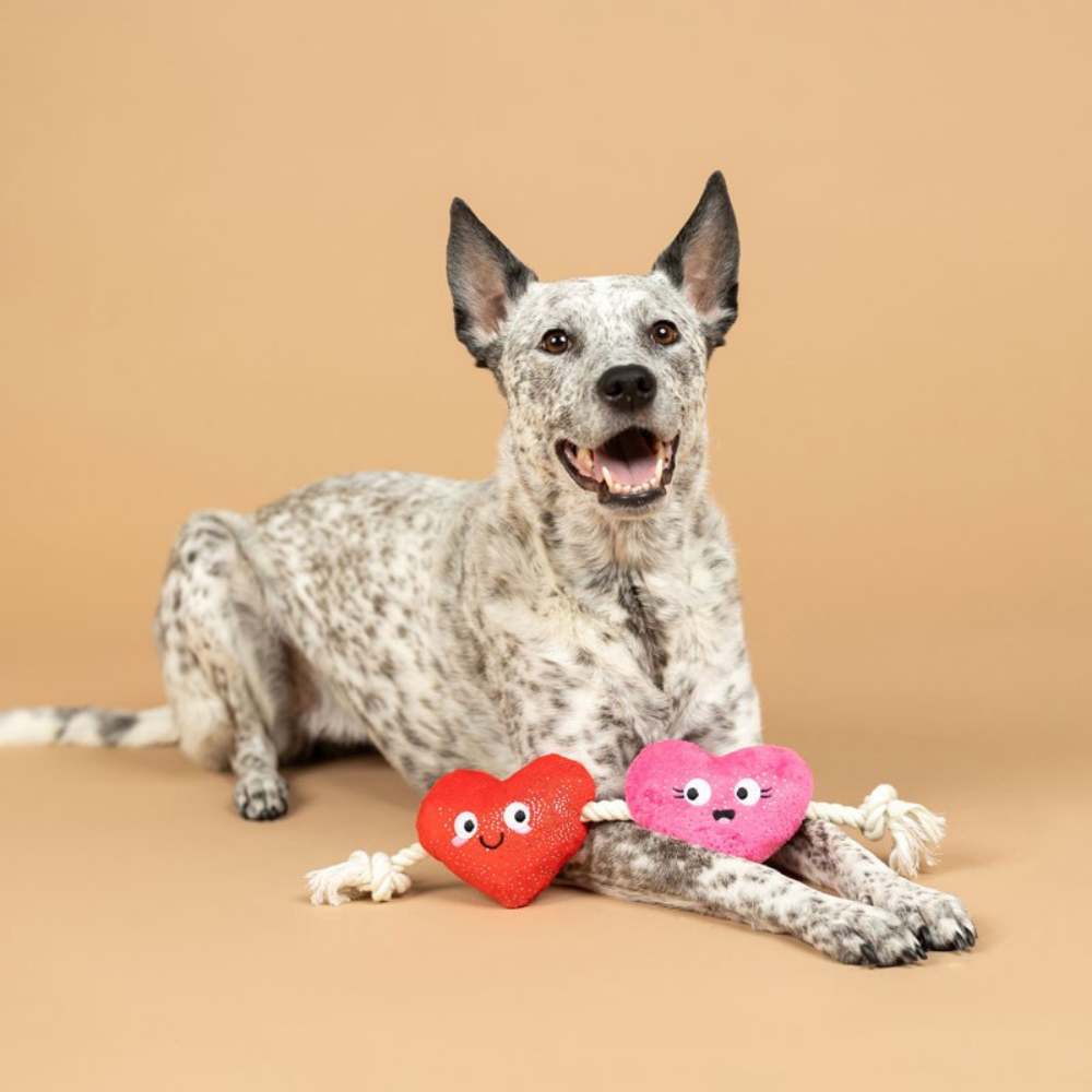 Hund mit Hundespielzeug Can't be Ap-heart - Petshop by Fringe Studio