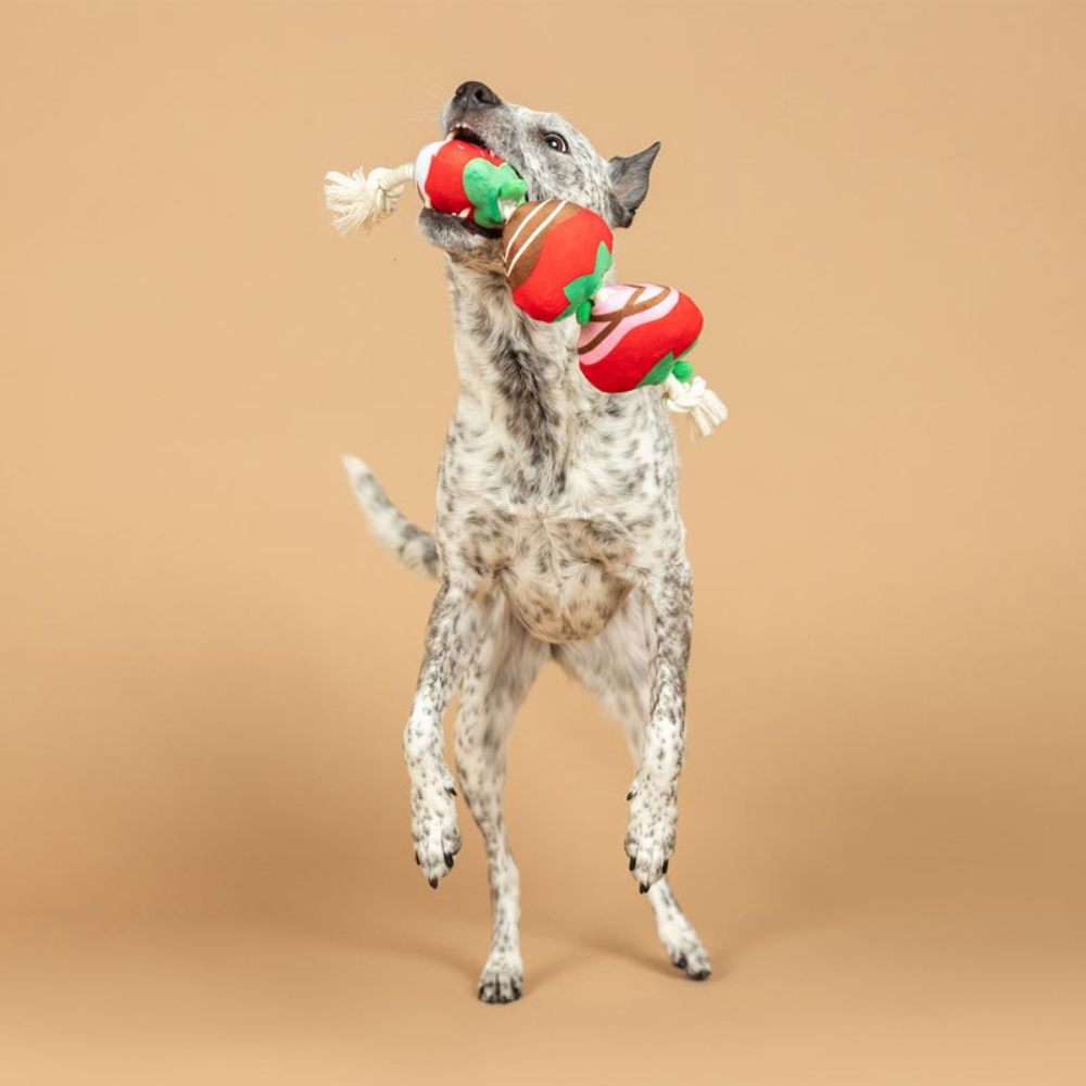 Hund mit Hundespielzeug Covered with love - Petshop by Fringe Studio