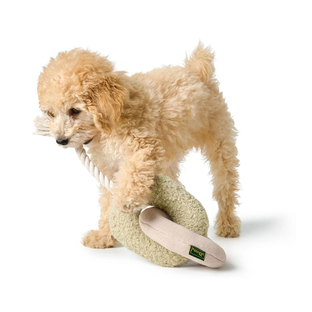 Hund mit Hundespielzeug Madrid mit Tau 37 cm grün/beige - HUNTER