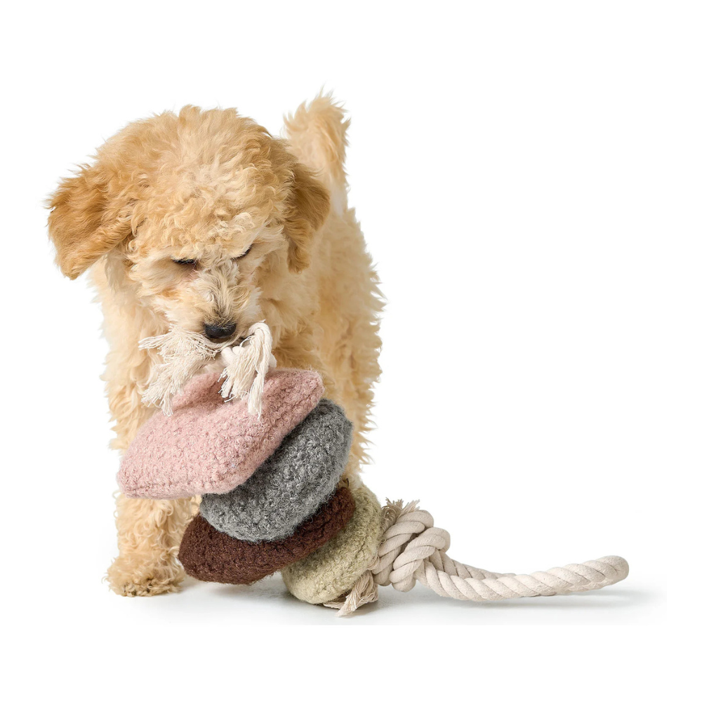 Hund mit Hundespielzeug Madrid mit Tau 45 cm grün/braun/grau/rosa - HUNTER
