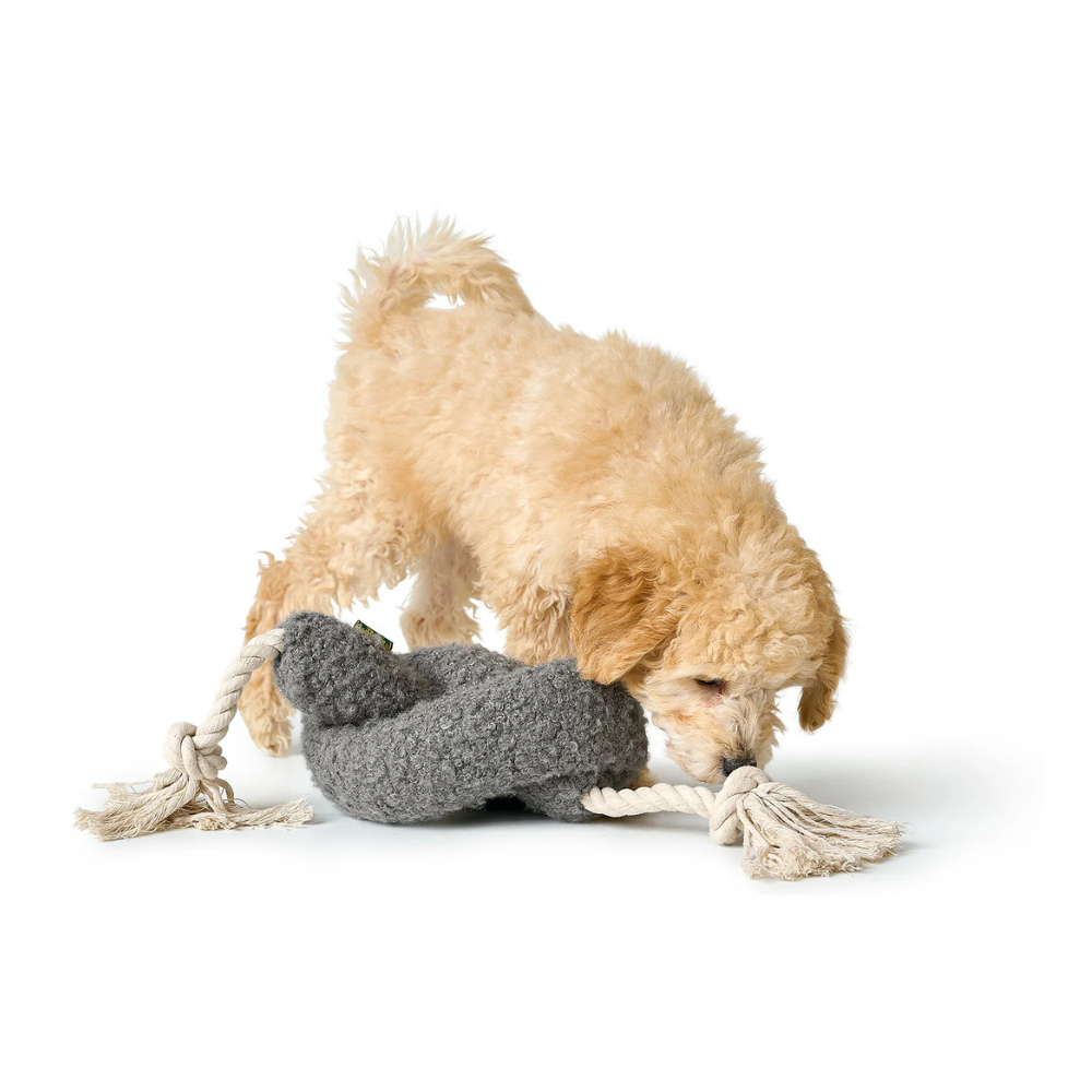 Hund mit Hundespielzeug Madrid mit Tau 59 cm grau - HUNTER