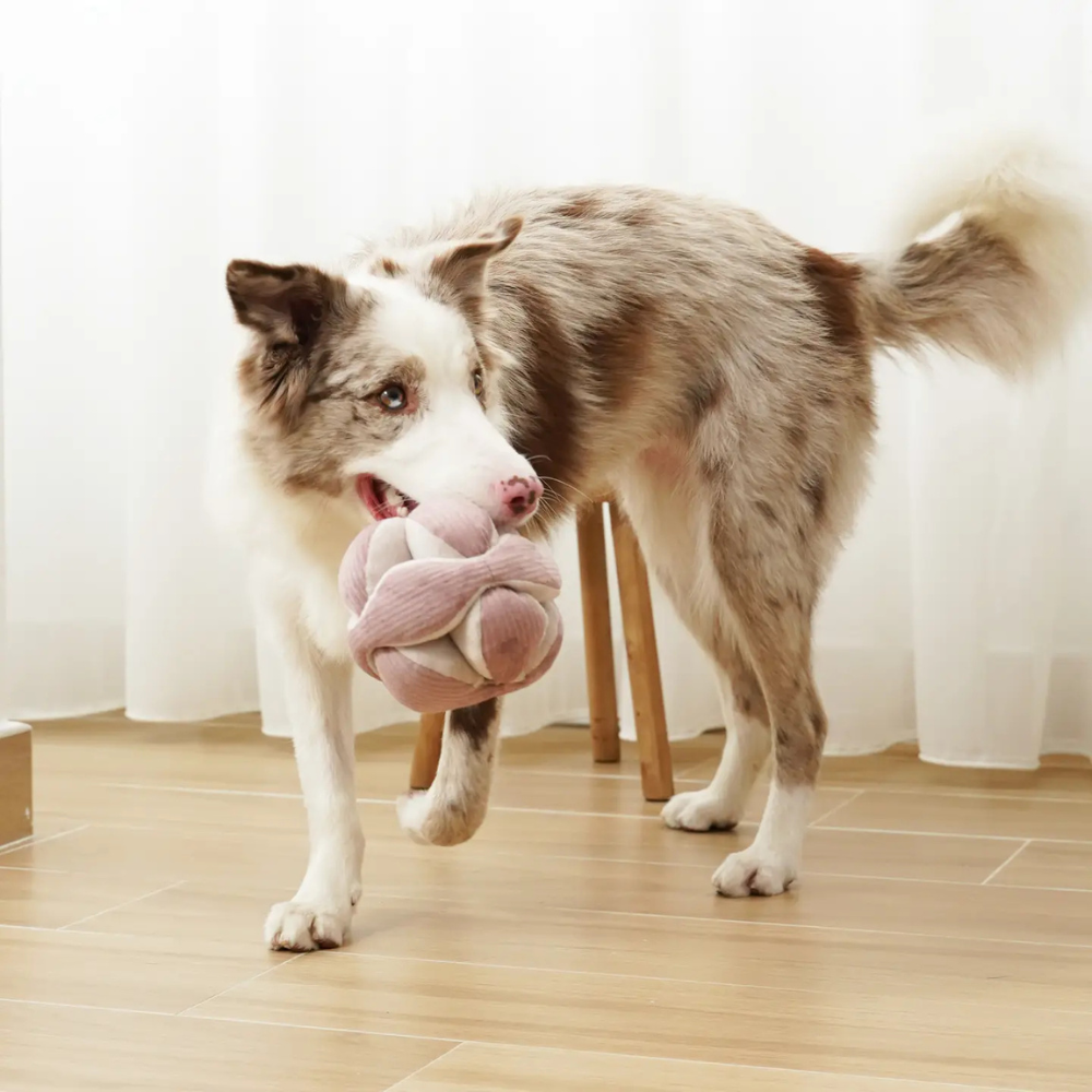 Hund mit Schnüffelball MONTI Hundespielzeug Cord LILAC - Lambwolf Collective