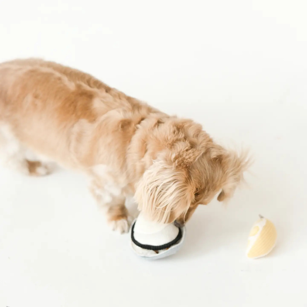 Hund mit Schnüffelspielzeug Auster Gillardeau - Lambwolf Collective